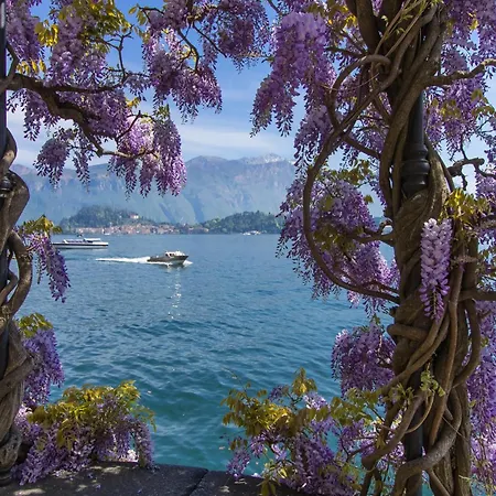 Residenza Regina *
